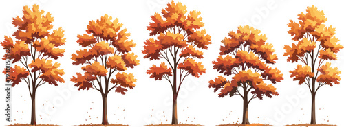 Autumn watercolor tree vector side view for landscape architecture section isolated on white