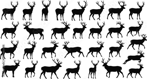 Deer Silhouette Collection Stag Buck Wildlife Animal Set Walking Standing Jumping Isolated Vector Illustration Forest Nature Design