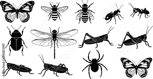 Set of black insect silhouettes featuring butterfly bee ant beetle dragonfly grasshopper and spider for nature wildlife and entomology graphic designs,