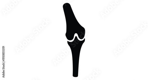 A stark black silhouette of a human knee joint structure