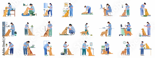 Flat illustrations of masked veterinarians providing health check-ups and medical care to golden retriever dogs in various clinic settings.
