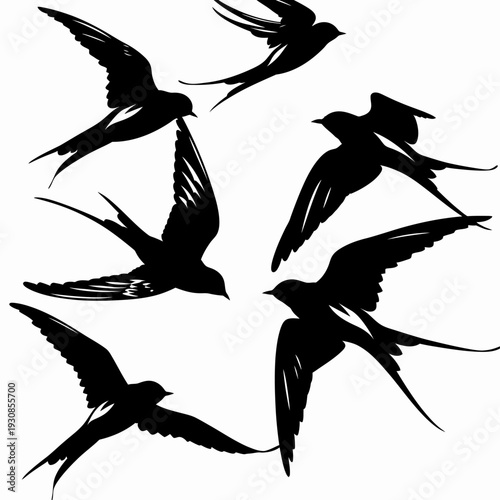 Silhouettes of flying birds elegant black shapes soaring in the sky