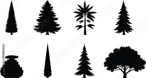 Black Tree Silhouette Set Featuring Evergreen Pine Spruce Cedar Oak and Palm Trees Isolated on White Background for Forest Landscape Nature and Environment Graphics