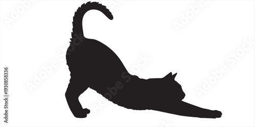 Minimalist line art vector illustration of a domestic cat stretching its body (bowing pose or downward dog) with tail up, isolated on white background.