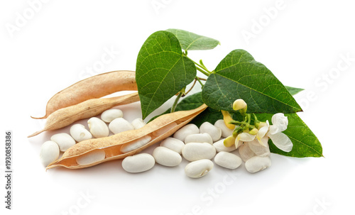 White beans with pods and green leaves.