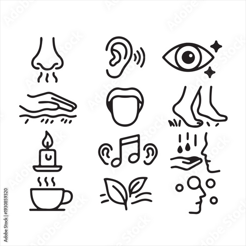 Explore the Sensory World A Visual Representation of the Five Senses