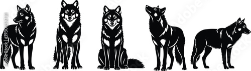 Wolf Silhouette Set Standing Sitting Wild Animal Collection Isolated Vector Illustration Predator Wildlife Forest Design Bundle