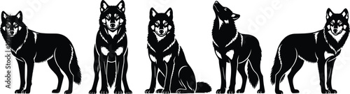 Wolf Silhouette Collection Wild Canine Predator Standing Sitting Howling Wildlife Animal Vector Illustration Forest Nature Set