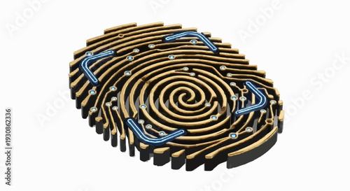 Digital Fingerprint Maze Securing Personal Identity Through Advanced Biometric Technology and Data Pathways