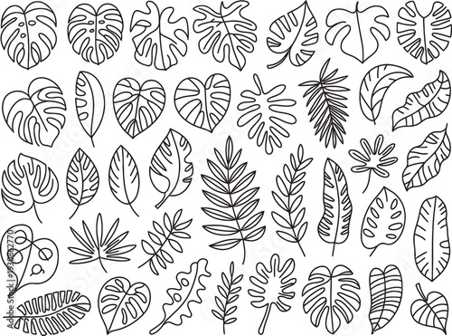 Dozens of tropical leaf varieties are presented in a detailed black and white hand-drawn collection for botanical design.