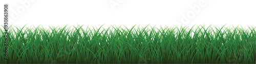 green grass background