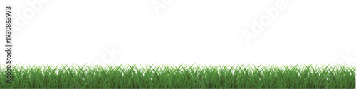 green grass background
