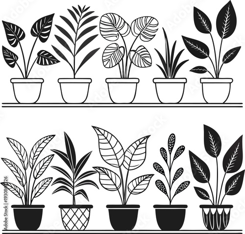 Minimalist Potted Houseplant Illustrations on Shelves