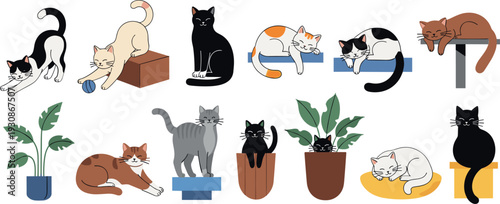 Collection of cute cats in various poses sleeping playing and sitting with indoor plants