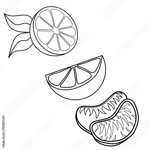 seamless citrus pattern, lemon slice isolated on white background, Freshness Orange Slice Frame, Fresh Orange Slice Illustration, orange vektor illustration, lime dan lemon vektor illustration.