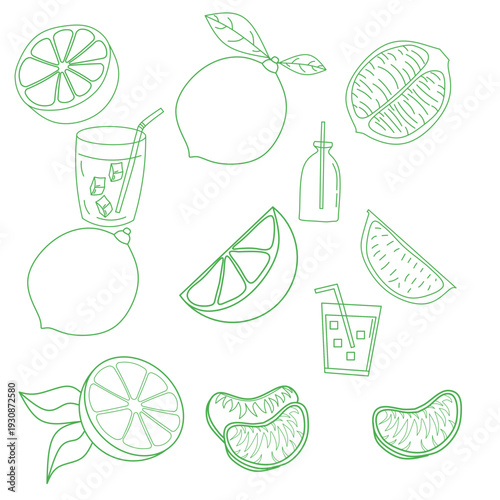 seamless citrus pattern, lemon slice isolated on white background, Freshness Orange Slice Frame, Fresh Orange Slice Illustration, orange vektor illustration, lime dan lemon vektor illustration.