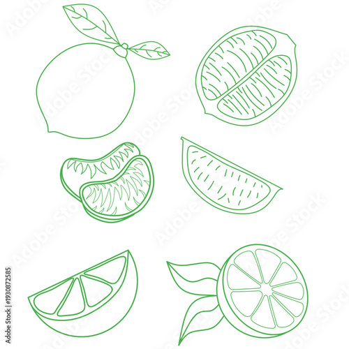 seamless citrus pattern, lemon slice isolated on white background, Freshness Orange Slice Frame, Fresh Orange Slice Illustration, orange vektor illustration, lime dan lemon vektor illustration.
