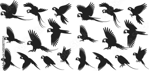 Massive collection of black silhouettes featuring parrots herons wildlife farm animals marine life business people desert plants and meadow grass
