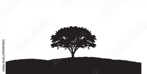 A lone tree on a hill with a white background