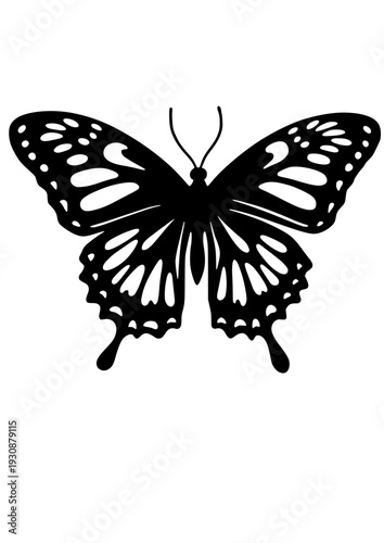 Butterfly Silhouette Vector