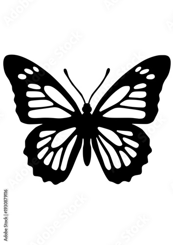 Butterfly Silhouette Vector