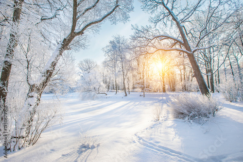 Panorama of beautiful winter park