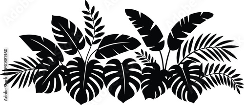 Tropical foliage silhouette arrangement with monstera and palm leaves isolated on white background botanical vector illustration