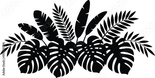 Tropical leaf silhouette arrangement with monstera, palm fronds and exotic jungle foliage isolated on white vector illustration