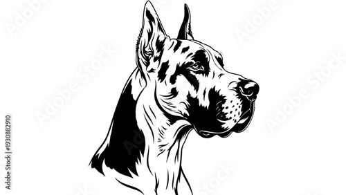 Great Dane Dog Portrait, Black and White Line Art, Elegant Canine Head Profile