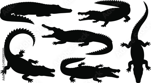 Crocodile silhouette set, alligator reptile vector collection, wildlife animal poses illustration, dangerous predator graphic, black isolated design, nature zoo icon