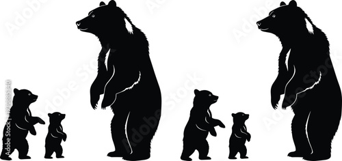 Black silhouette illustration of big adult bear and small baby cub standing together on their hind legs wild animal concept.