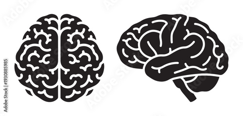 Human brain silhouette icons showing top and side views representing intelligence and psychological concept