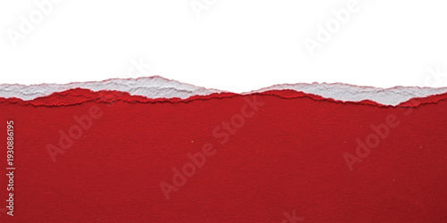 A close-up view of a piece of red paper with a rough, torn edge separating it from a white background.