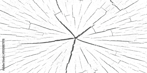 Abstract black and white texture of radial cracks on a surface resembling a distressed wood cross-section