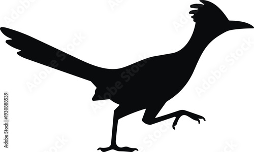 Roadrunner bird silhouette illustration, desert wildlife animal vector, running avian graphic, black isolated design, nature fauna icon art