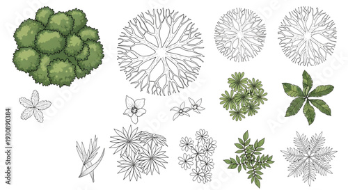 Top View Tree and Botanical Vector Set – Freehand Garden and Landscape Elements for Architectural Plans