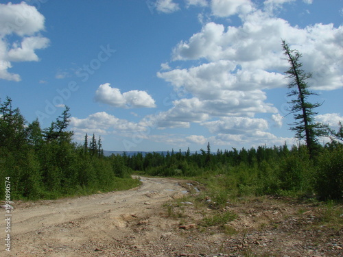 a road in the taiga on the background of a blue sky with clouds