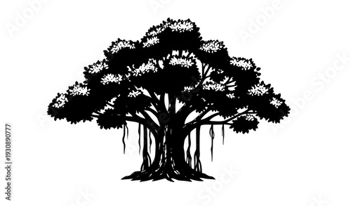 banyan, tree, oldtree, ancient, bigtree, nature, tropical, botanical, foliage, roots, trunk, branch, canopy, forest, natural, environment, green, ecology, outdoor, garden, park, plant, vegetation, vec