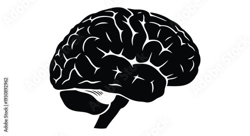 Black and white illustration of a human brain with detailed texture on a plain white background for educational or conceptual use