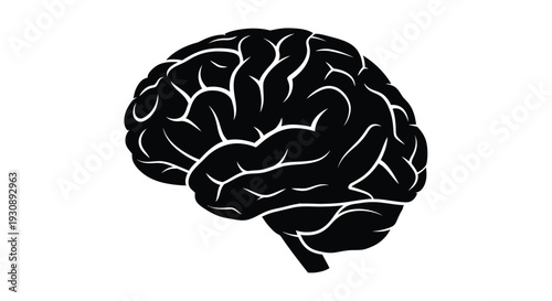 Black brain illustration with white outlines on plain background symbolizing intelligence and cognition in a simple style