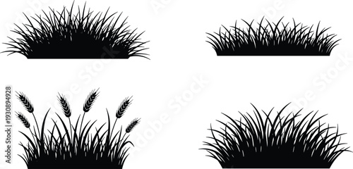 Set of black grass and wheat stalks silhouettes, wild meadow plants and field cereal icons for nature environment farming agriculture and garden landscape design