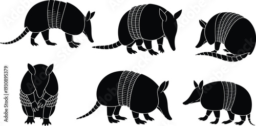 Armadillo silhouette set, wild animal vector illustration, mammal collection poses, wildlife nature graphic, black isolated design, zoology concept