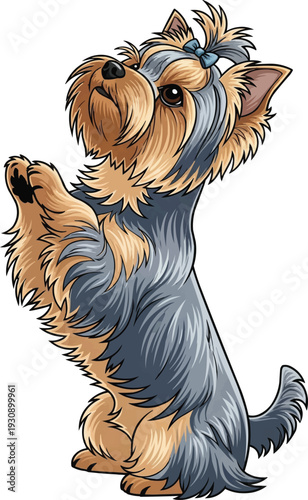Yorkshire Terrier dog cute begging pose vector illustration