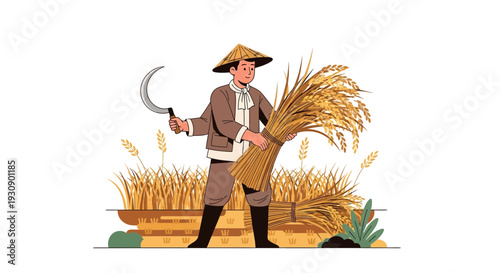 Rural Farmer Harvests Golden Rice Fields With Sickle And Sheaf