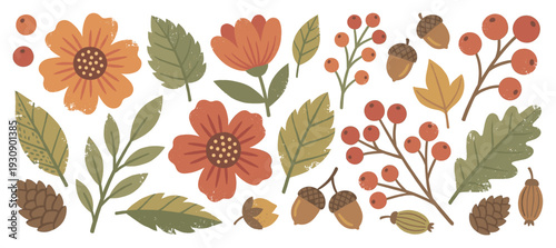 Autumn botanical elements, flowers, leaves, berries, acorns, pinecones, and seeds are beautifully illustrated in a rustic, textured style.