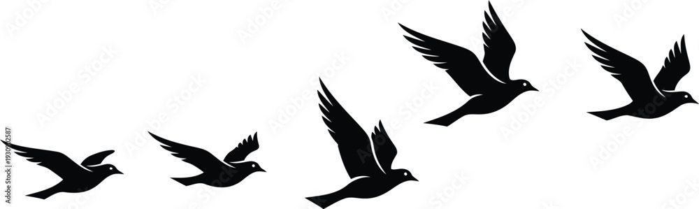 Fototapeta premium black silhouettes of birds flying in different positions