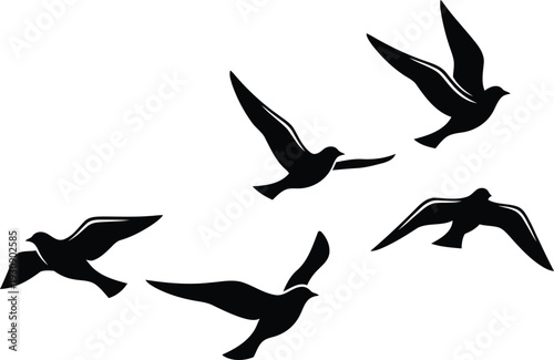 black silhouettes of birds flying in different directions in air