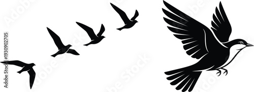 black silhouettes of birds flying in formation