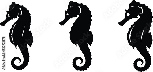 silhouette of seahorses on white background