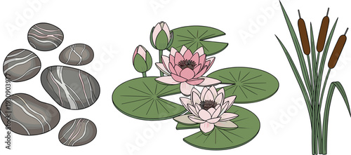 Water Garden Nature Element Illustration Set with Lily Pads, Lotus Flowers, Reeds, and Decorative Stones for Pond and Landscape Designs